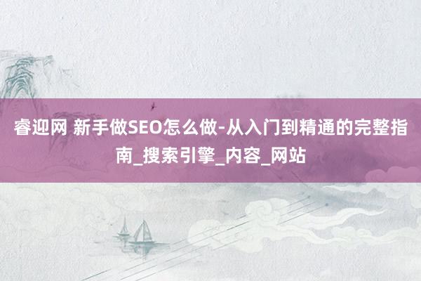 睿迎网 新手做SEO怎么做-从入门到精通的完整指南_搜索引擎_内容_网站