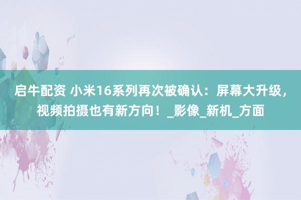 启牛配资 小米16系列再次被确认：屏幕大升级，视频拍摄也有新方向！_影像_新机_方面