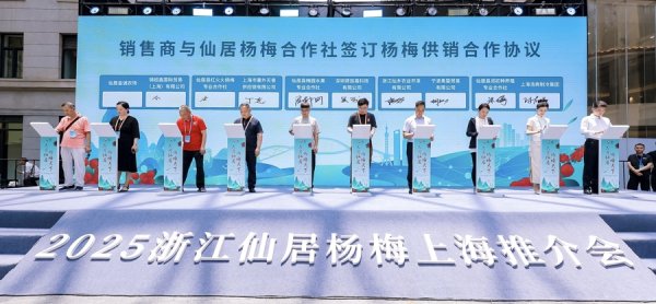 搭搭网 仙居杨梅亮相外滩中央广场，开启\