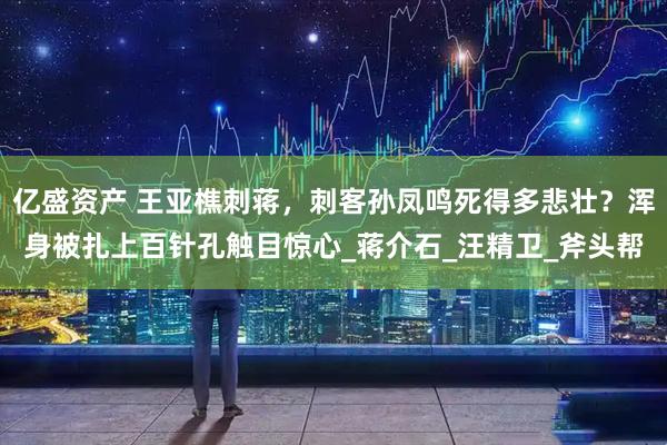 亿盛资产 王亚樵刺蒋，刺客孙凤鸣死得多悲壮？浑身被扎上百针孔触目惊心_蒋介石_汪精卫_斧头帮