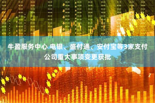 牛盈服务中心 电银、盛付通、安付宝等3家支付公司重大事项变更获批