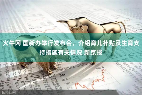 火牛网 国新办举行发布会，介绍育儿补贴及生育支持措施有关情况 新京报