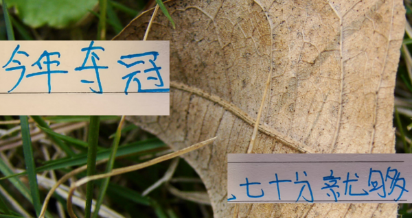 三叶草策略 心痛去年申花一下 ！今年中超冠军大概70分左右就可以 ！甚至更低
