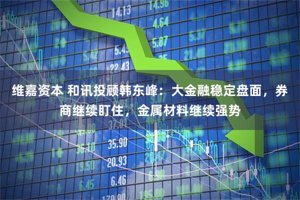 维嘉资本 和讯投顾韩东峰：大金融稳定盘面，券商继续盯住，金属材料继续强势