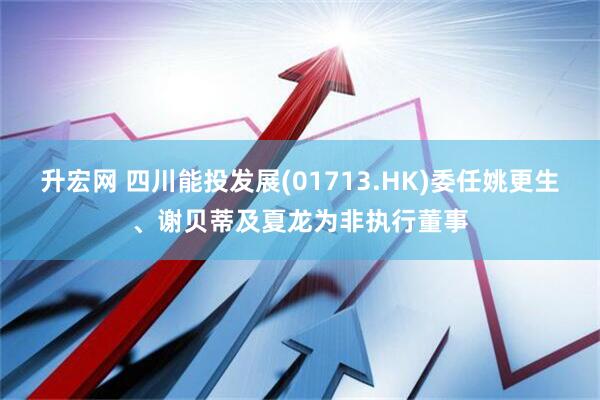 升宏网 四川能投发展(01713.HK)委任姚更生、谢贝蒂及夏龙为非执行董事